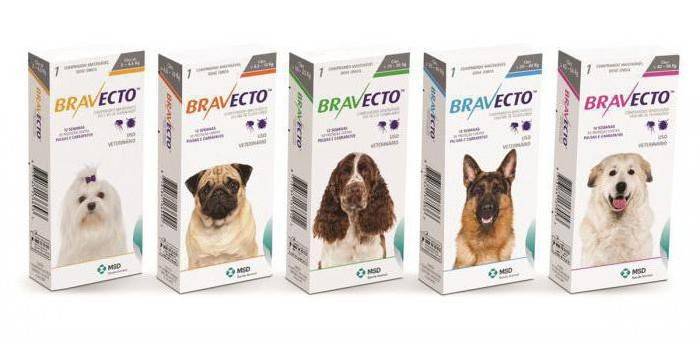 Упаковки таблеток для собак Бравекто