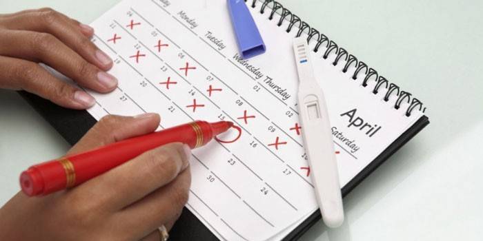 Календарь овуляции и тест на беременность