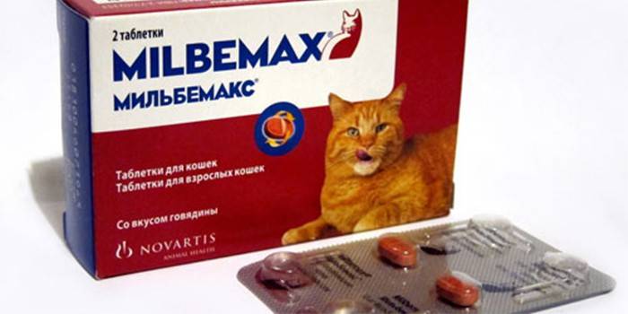 Таблетки для кошек Мильбемакс в упаковке