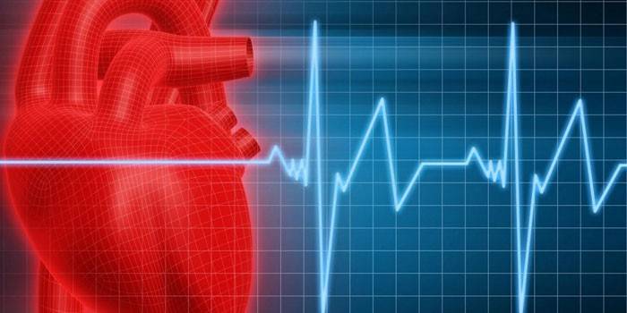 Сердце и график сердечного ритма