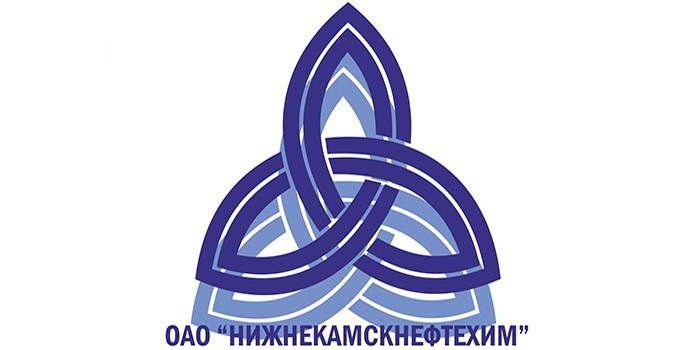 Логотип компании Нижнекамскнефтехим