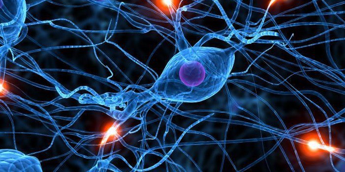 Рассеянный склероз симптомы у женщин, причины возникновения