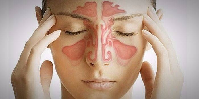 Клиническая анатомия и физиология носа