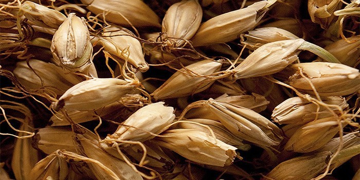 Способы приготовления солода в домашних условиях