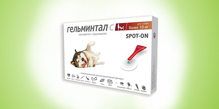 Гельминтал