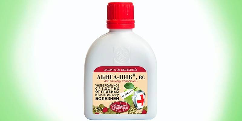 Абига-Пик