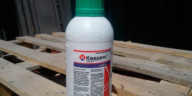 Квадрис СК