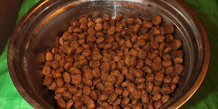 Миска с собачьей едой