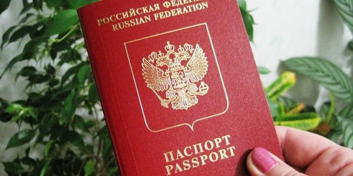 Заграничный паспорт в руке