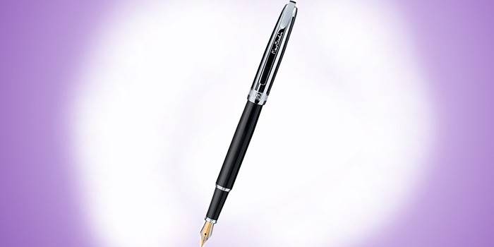 Ручка с пером Pierre Cardin PC5009FP-B10