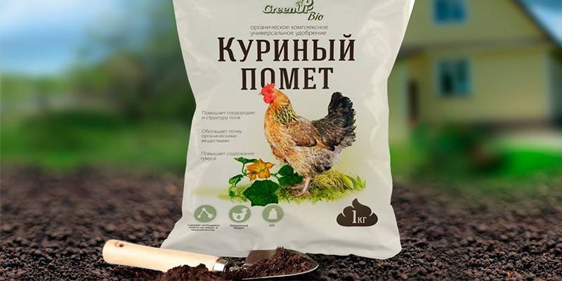 Куриный помет