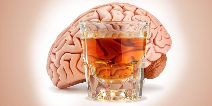 Мозг человека и рюмка спиртного