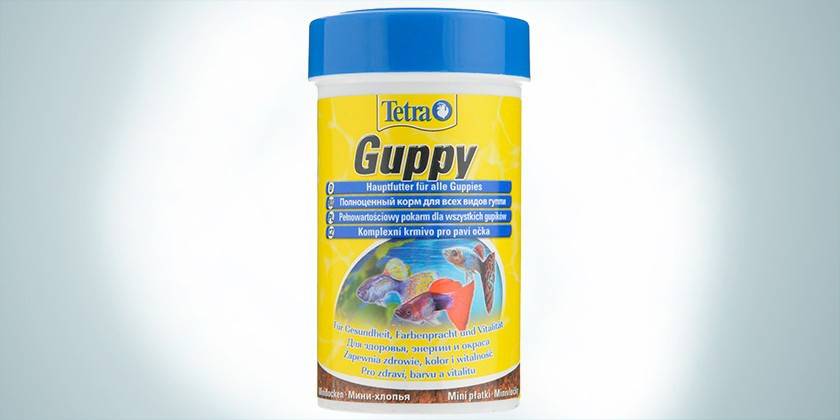 Guppy