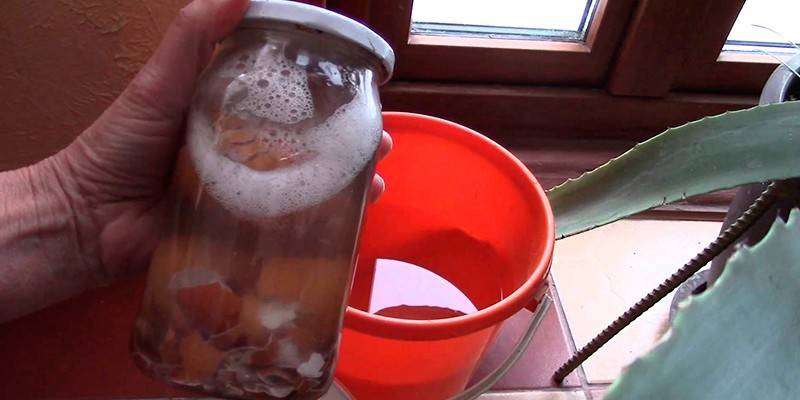 Для комнатных цветов