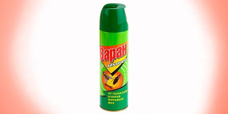 Варан