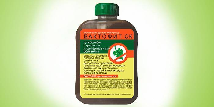 Фунгицид Бактофит