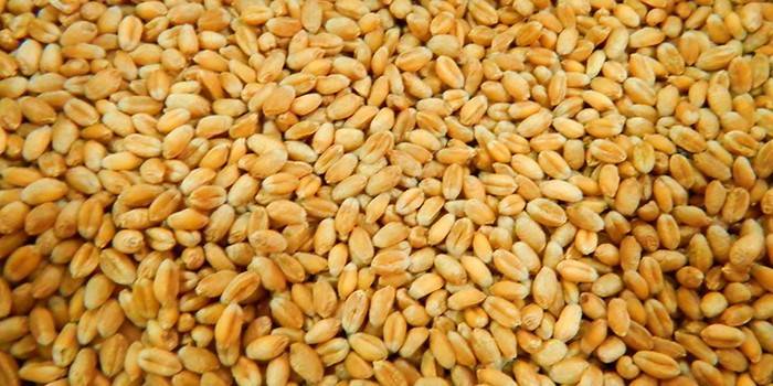 Как выбрать пшеницу