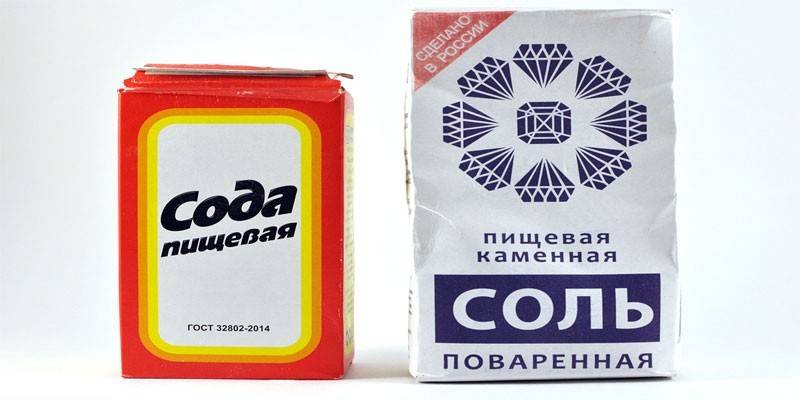 Соль и сода от блох