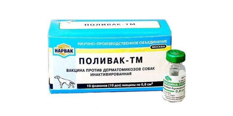 Поливак