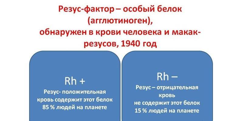 Сведения о резус-факторе