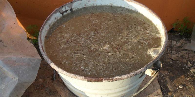 Раствор свежего куриного помета