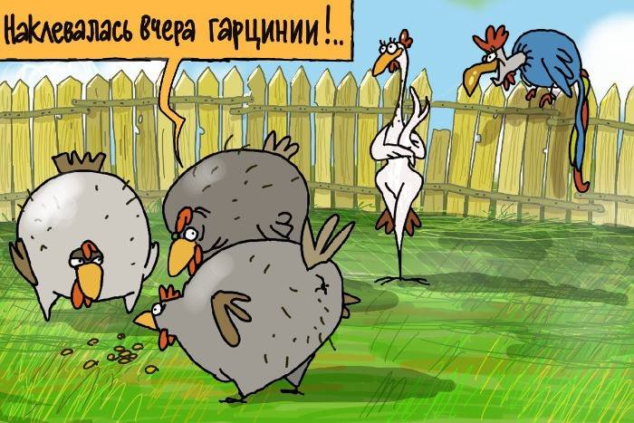 Куры во дворе
