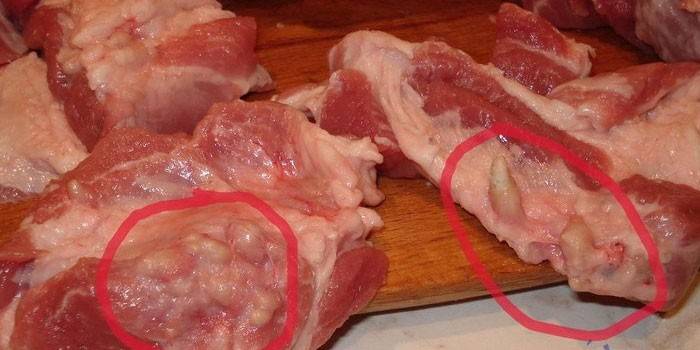 Мясо зараженное трихинеллезом