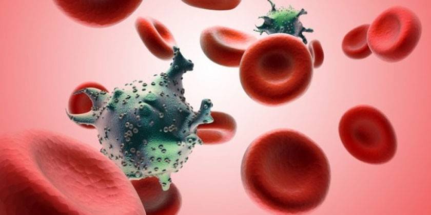Клетки крови и вирус