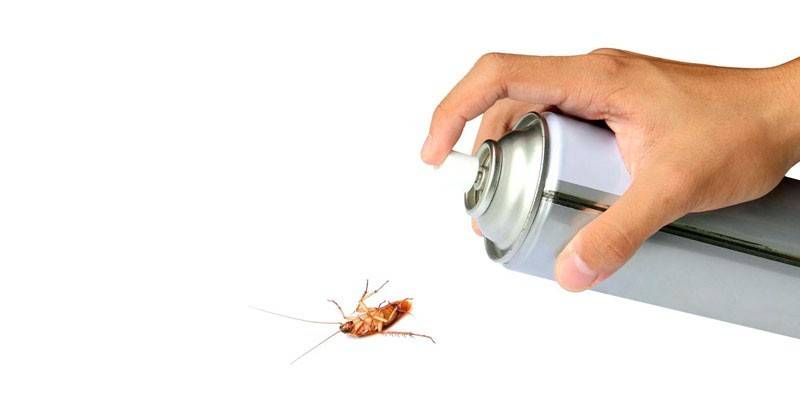 Аэрозоль от тараканов в руке