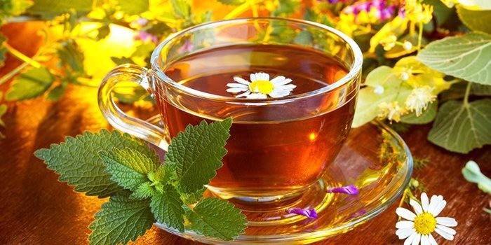 Травяной чай с цветками ромашки и мятой