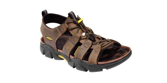 Сандалии KEEN Daytona K1003030-8
