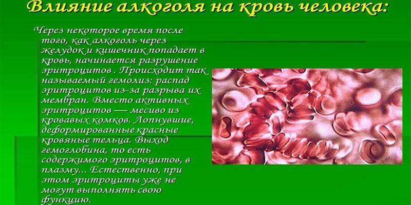 Влияние алкоголя на кровь